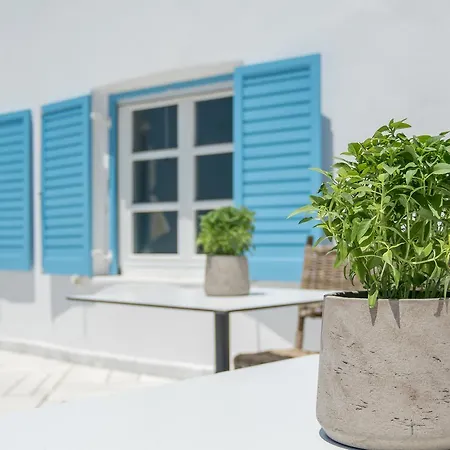 Capo Di Mykonos Hotel