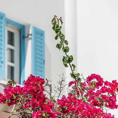 Hotel Capo Di Mykonos Agios Ioannis Diakoftis