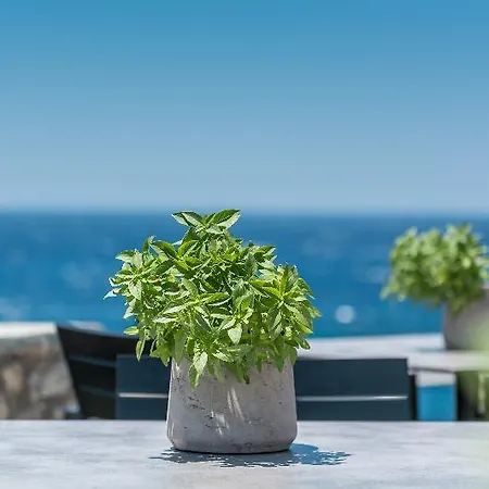 Capo Di Mykonos Hotel Agios Ioannis Diakoftis
